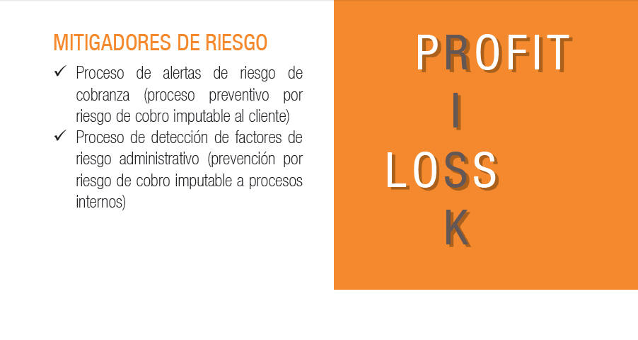 Mitigadores de Riesgo